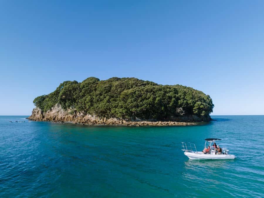 Discover Whangamata - Boat Tour - Key highlights worth showing up for