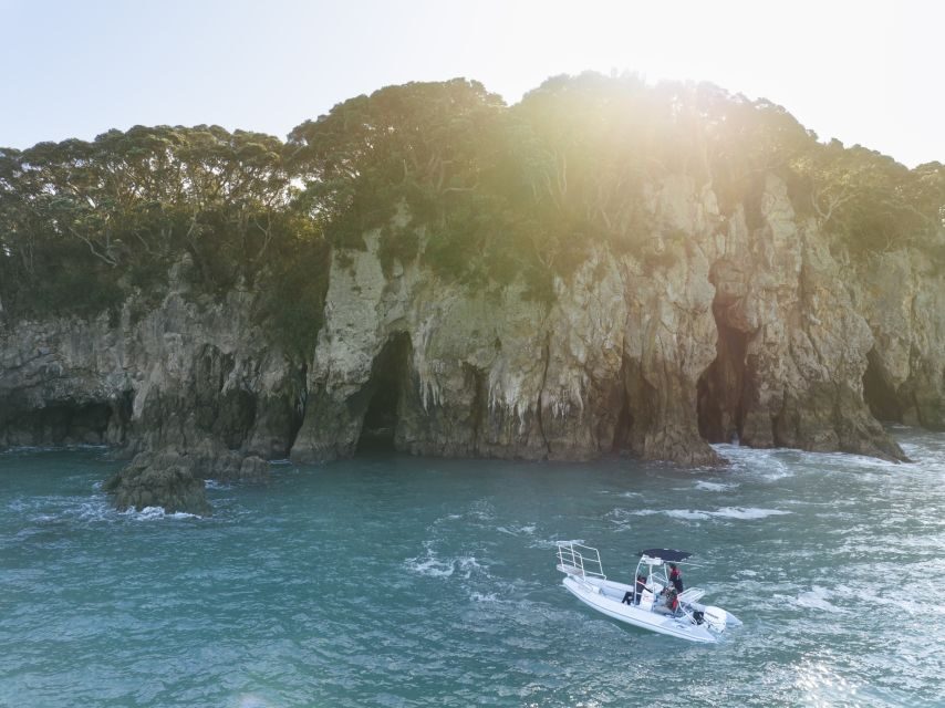 Discover Whangamata - Boat Tour - Wildlife spotting and coastal clues your guide will point out