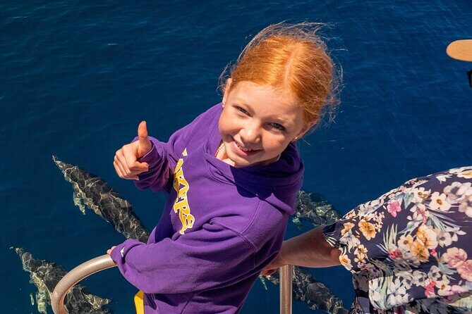 Dolphin & Wildlife Encounters - Boat comfort that actually helps with wildlife watching