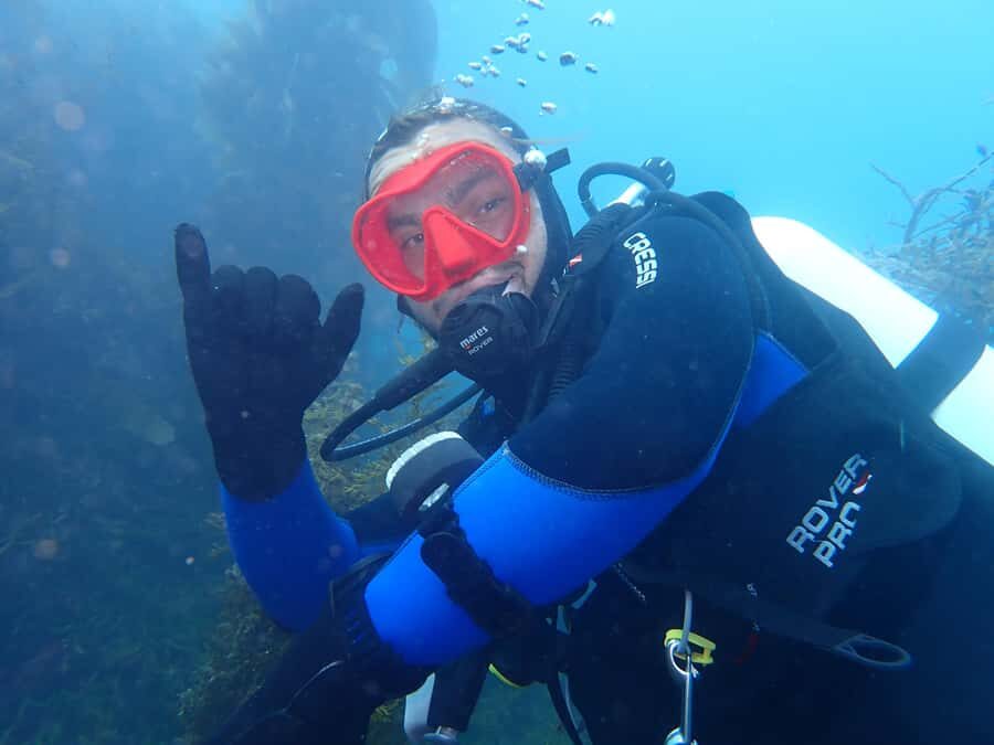 Double Boat Dive with Equipment - Kaikoura’s mountain-meets-sea approach: what the boat time feels like