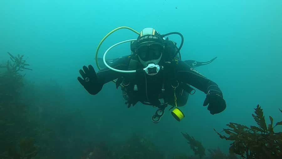 Double Boat Dive with Equipment - Cold water and low visibility: what you need to know before you go
