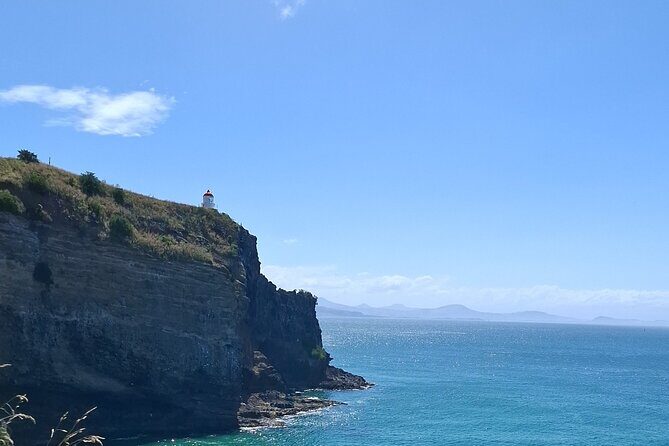 Dunedin and Otago Peninsula Private Tours Up to 4 people - Key Highlights to Know Before You Go