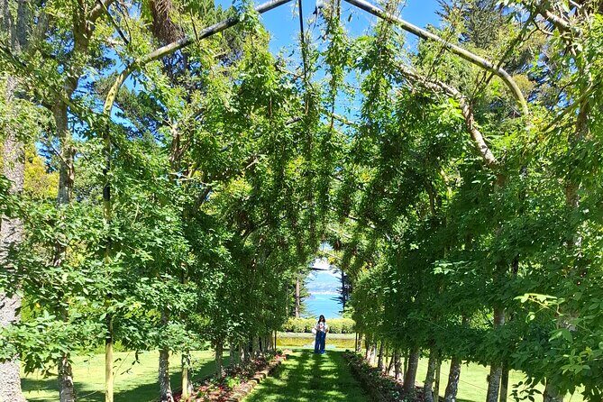 Dunedin and Otago Peninsula Private Tours Up to 4 people - How This Private Dunedin Tour Gets You More Than a Checklist