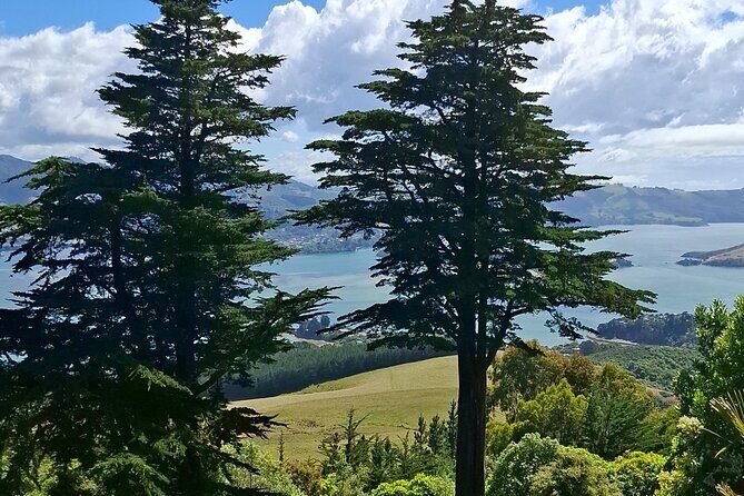 Dunedin and Otago Peninsula Private Tours Up to 4 people - Baldwin Street: The World’s Steepest Street Moment