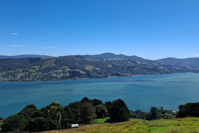 Dunedin and Otago Peninsula Private Tours Up to 4 people - Sandfly Bay Track: Coastal Rocks and the Wildlife-Forward Turn