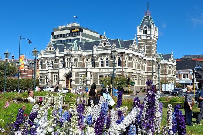 Dunedin and Otago Peninsula Private Tours Up to 4 people - Pickup and Getting Oriented in Central Dunedin