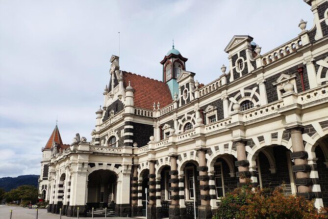 Dunedin City and Coastal Views 3-Hour Small-Group Guided Tour - Key things that make this tour worth your time
