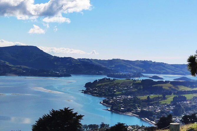 Dunedin City and Coastal Views 3-Hour Small-Group Guided Tour - The Octagon: the center of the city