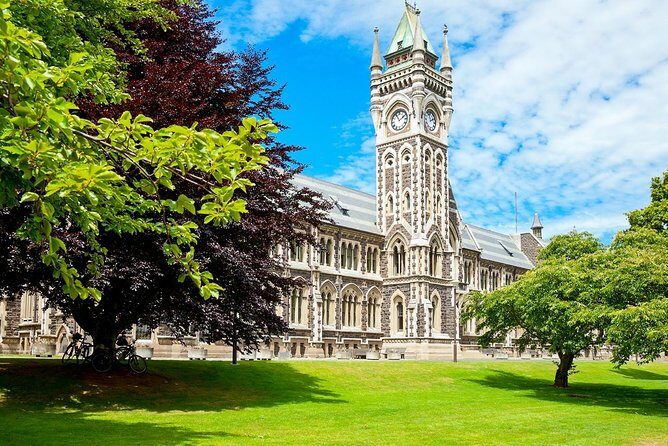 Dunedin City and Coastal Views 3-Hour Small-Group Guided Tour - Your city overview starts at Signal Hill