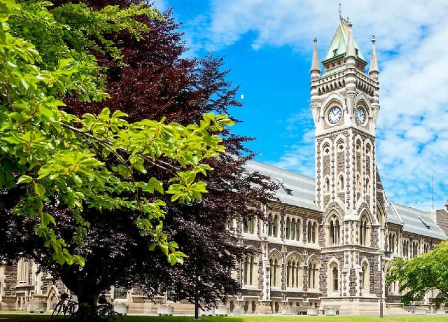 Dunedin City & Coastal Views 3-Hour Small-Group Tour - Key points that make this tour worth your time