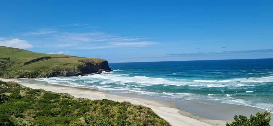 Dunedin City & Coastal Views 3-Hour Small-Group Tour - Who this Dunedin tour suits best (and who should skip it)