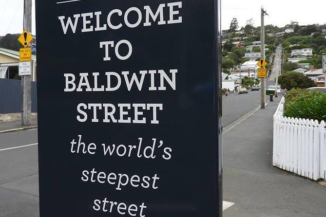 Dunedin City Highlights, Otago Peninsula Scenery & a Guided Penguin Reserve Tour - Key things to know before you go