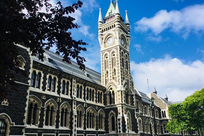 Dunedin City Highlights, Otago Peninsula Scenery & a Guided Penguin Reserve Tour - Pickup and the small-group rhythm (why it matters)