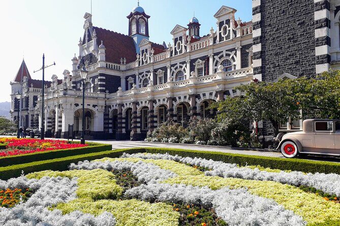 Dunedin City Highlights, Otago Peninsula Scenery & a Guided Penguin Reserve Tour - Who this tour suits best (and who should look elsewhere)