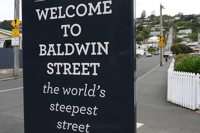 Dunedin City Highlights, Otago Peninsula Scenery & Albatross Guided Tour - Why a small-group Dunedin + Otago Peninsula day feels better