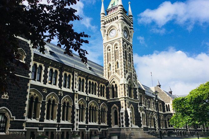 Dunedin City Highlights, Otago Peninsula Scenery & Albatross Guided Tour - Price and value: what you’re paying for (and what you’ll add)