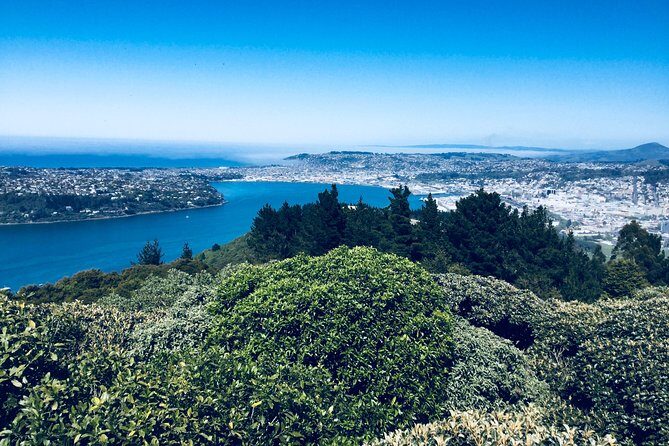 Dunedin City Highlights, Otago Peninsula Scenery & Albatross Guided Tour - Baldwin Street and the Botanic Garden: a fast taste of Dunedin