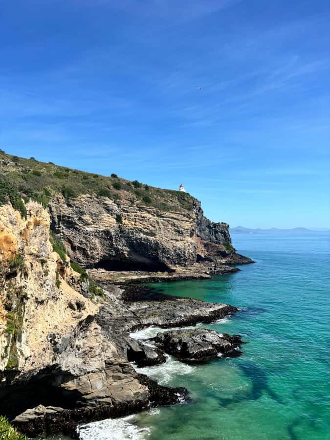 Dunedin City & Otago Peninsula Scenery Day Tour - Key takeaways before you go