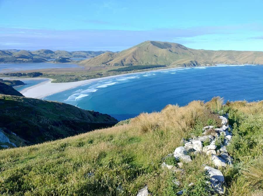 Dunedin City & Otago Peninsula Scenery Day Tour - Price and value: is $134 a good deal for 6 hours?