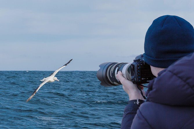 Dunedin City to Sea Wildlife Cruise + Peninsula Bus Tour - How this Dunedin + Otago Peninsula tour actually feels