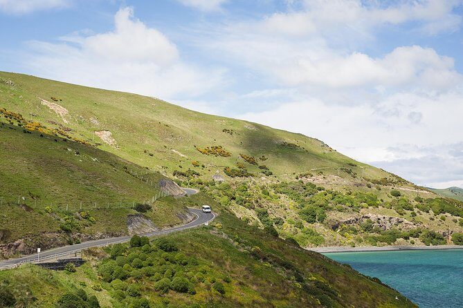 Dunedin City to Sea Wildlife Cruise + Peninsula Bus Tour - Stop 2: Taiaroa Head lighthouse and the Royal Albatross colony