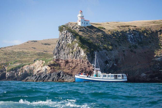 Dunedin City to Sea Wildlife Cruise + Peninsula Bus Tour - Price and what makes it good value at $74.47
