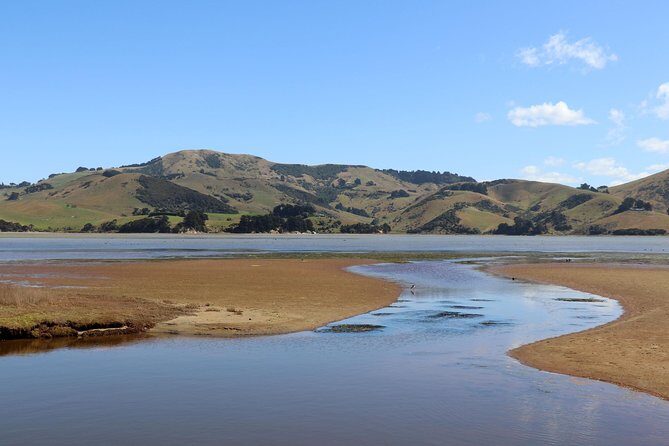 Dunedin City, Wildlife and Larnach Castle - Key Points That Make This Tour Worth Your Day