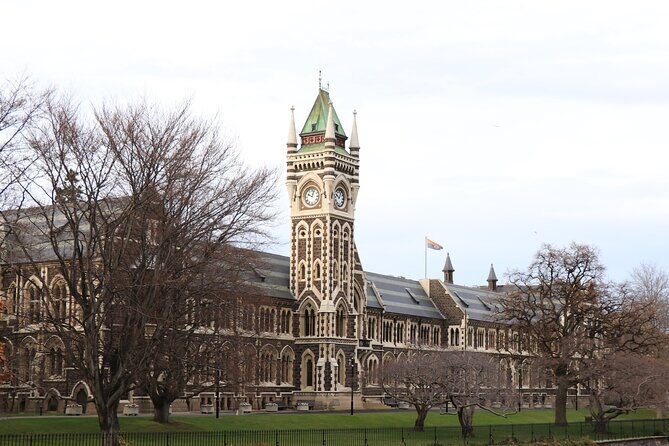 Dunedin City, Wildlife and Larnach Castle - Why This Dunedin + Otago Peninsula Day Works