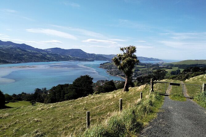 Dunedin City, Wildlife and Larnach Castle - Sandfly Bay Track: Dunes to Beach, Minus the Fuss