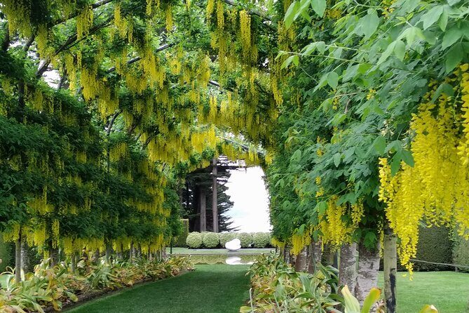 Dunedin City, Wildlife and Larnach Castle - Taiaroa Head Reality Check: Albatross and Penguins Aren’t Guaranteed on a Day Tour
