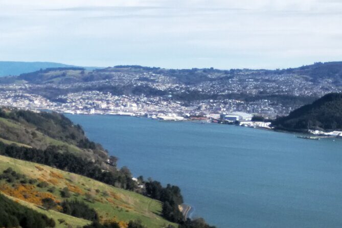 Dunedin City, Wildlife and Larnach Castle - Pickup, Timing, and How You Avoid the First-Day Headache