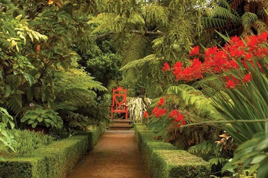 Dunedin: Larnach Castle & Gardens Admission Ticket - Inside the castle: architecture, antiques, and Victorian life cues