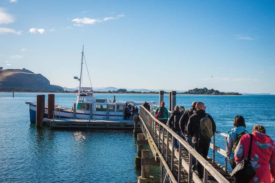 Dunedin: Monarch - One Hour Wildlife Cruise - Timing and comfort: wind, layers, and boat reality