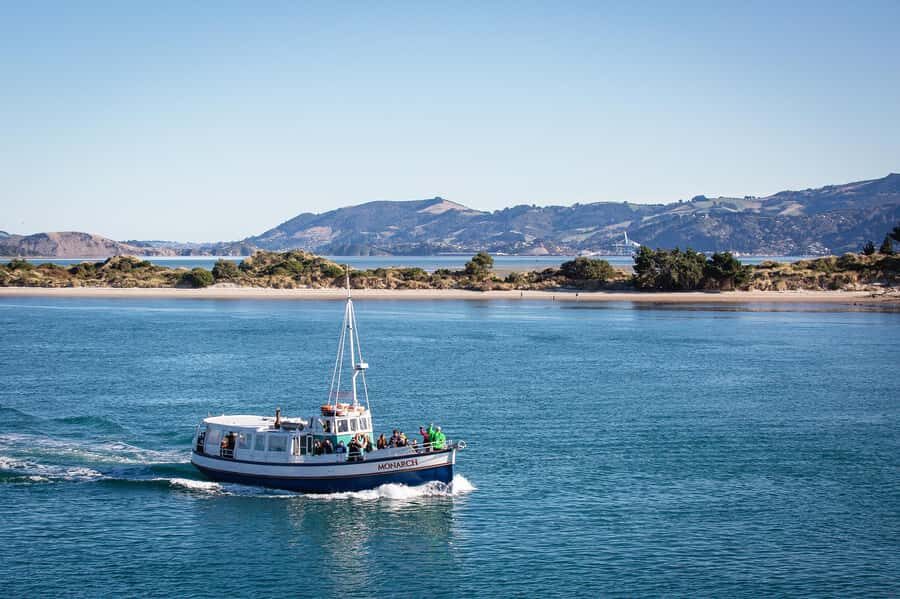 Dunedin: Monarch - One Hour Wildlife Cruise - One hour at sea: the flow of the cruise