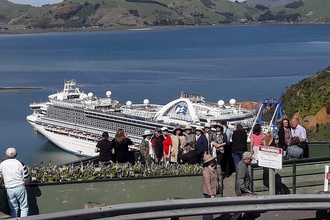 Dunedin Nature & City Tour – Full Day Cruise Excursion - Key things I’d circle before you book