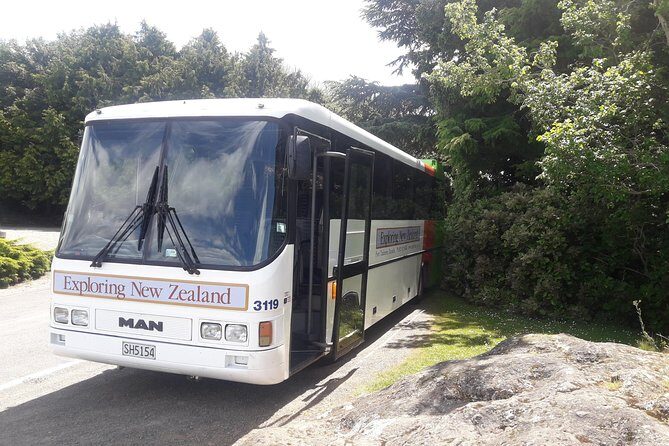 Dunedin Nature & City Tour – Full Day Cruise Excursion - Port Chalmers to Dunedin: how this cruise-day route works