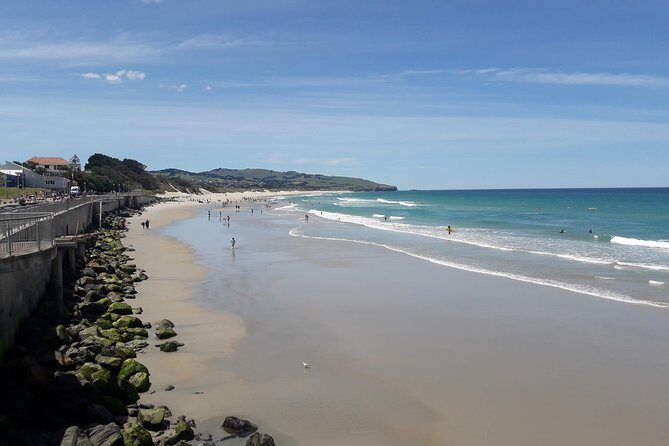 Dunedin Nature & City Tour – Full Day Cruise Excursion - Dunedin’s center stop: the Octagon, quick and useful