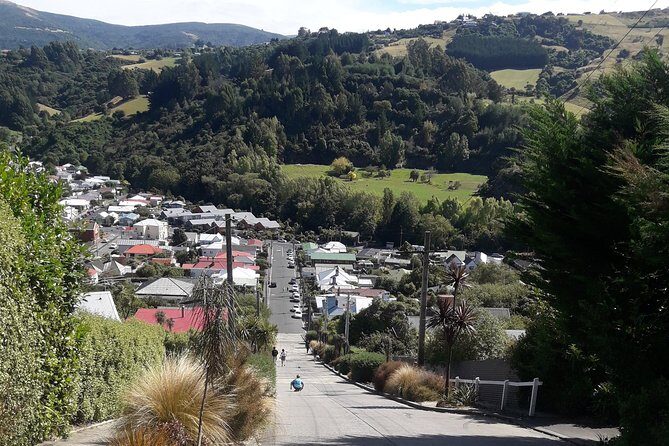 Dunedin Nature & City Tour – Full Day Cruise Excursion - St Clair Beach: coast views and a short time to breathe