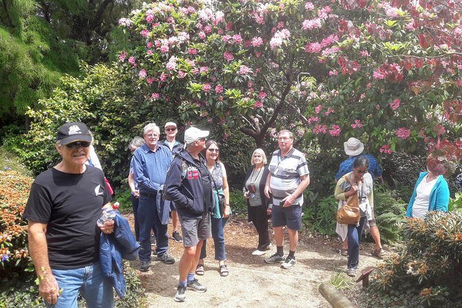 Dunedin Nature & City Tour – Full Day Cruise Excursion - Baldwin Street: the steep thrill, either with steps or views