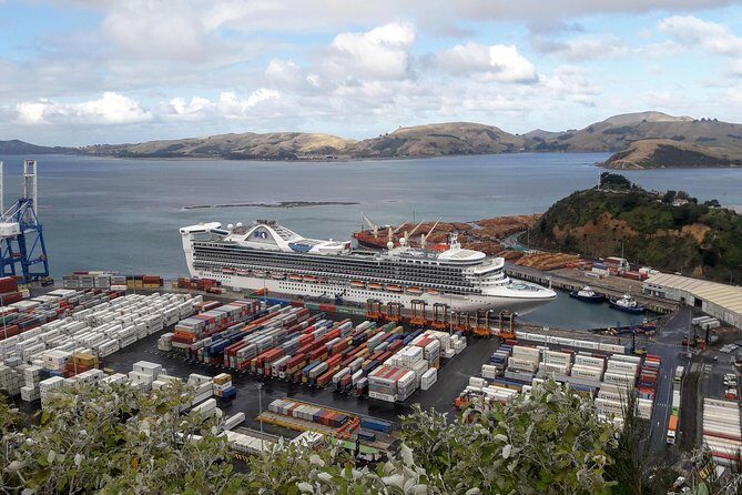 Dunedin Nature & City Tour – Full Day Cruise Excursion - The bus experience: air-con comfort and commentary that sticks
