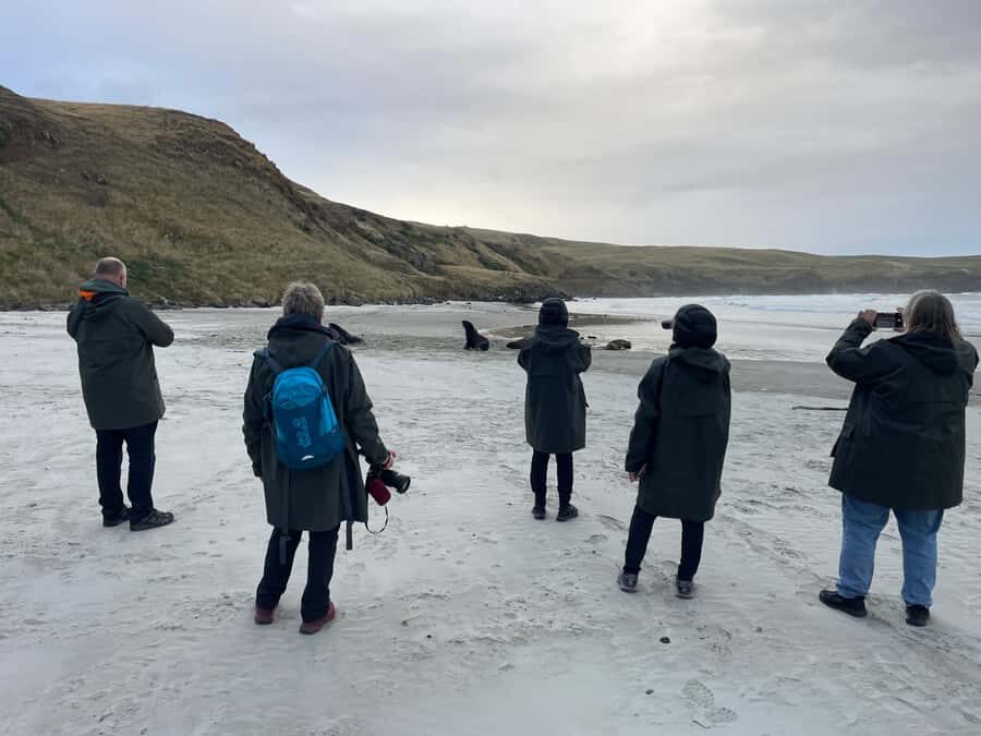 Dunedin: Otago Peninsula Clearwater Wildlife Tour - Conservation reserve hides: penguins and sea lions with the guide leading the way
