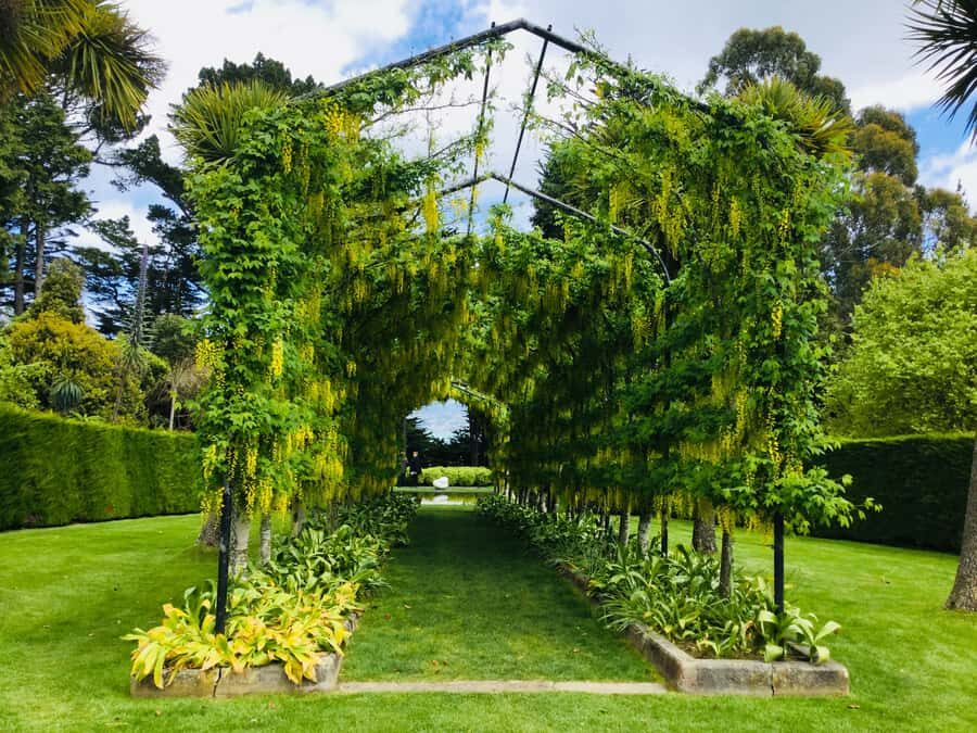 Dunedin: Peninsula with Lanarch Castle gardens & Olveston - Upper Botanic Garden and the Northern Cemetery detour