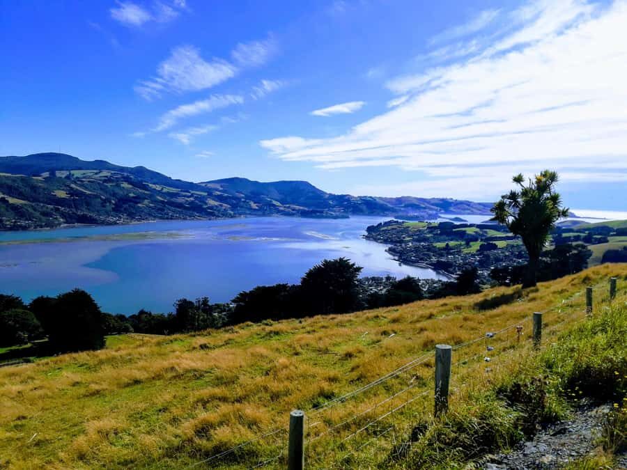 Dunedin: Peninsula with Lanarch Castle gardens & Olveston - University of Otago, First Church of Otago, and Dunedin Railway Station
