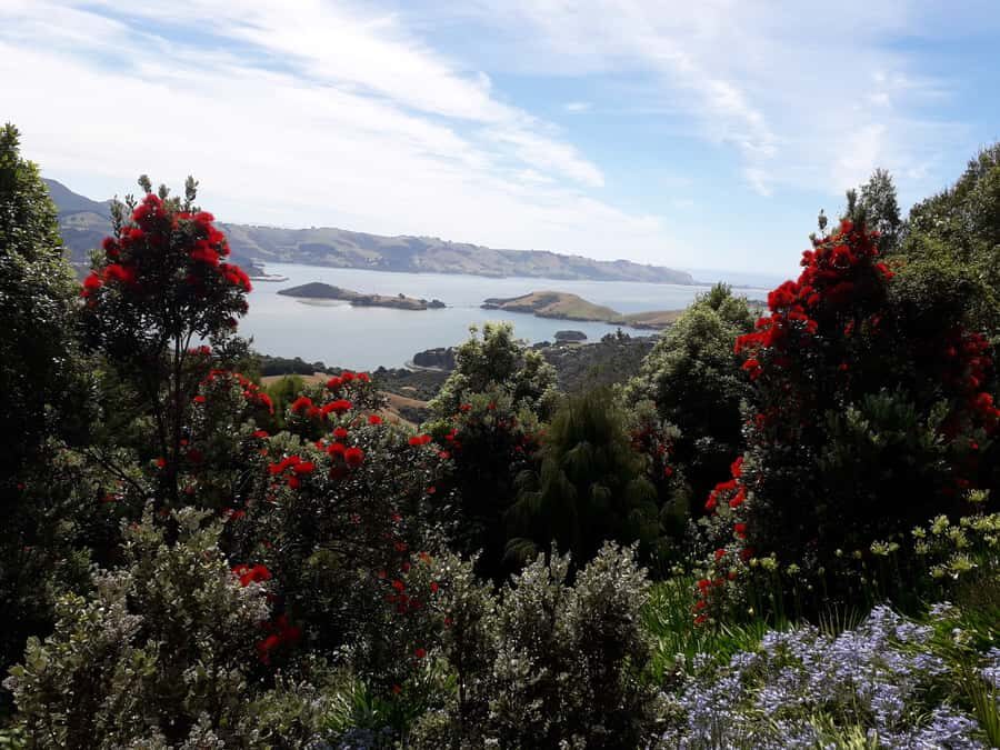 Dunedin: Peninsula with Lanarch Castle gardens & Olveston - Olveston Historic Home: a guided 1-hour look inside the past