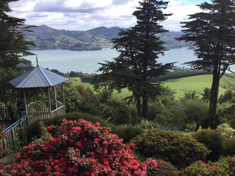 Dunedin: Peninsula with Lanarch Castle gardens & Olveston - Port Chalmers pickup and the first view at Dunedin’s steepest street
