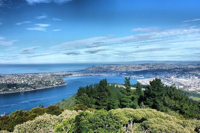 Dunedin Private Fullday Tour - Nature Wonders Naturally: Wildlife on Private Land (Penguins and Seals)