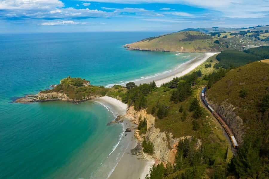 Dunedin: Scenic Railway Tour of Otago's Coastline - Who should book The Seasider, and who might prefer something else
