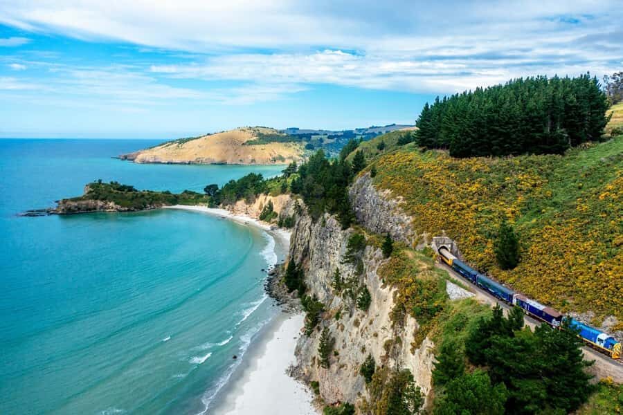 Dunedin: Scenic Railway Tour of Otago's Coastline - Price and value: is $77 a good deal?