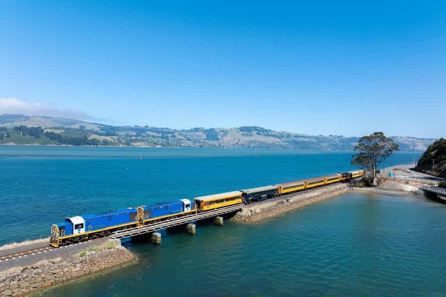 Dunedin: Scenic Railway Tour of Otago's Coastline - Picking the route: Arc Brewery stop-off or full journey to Merton