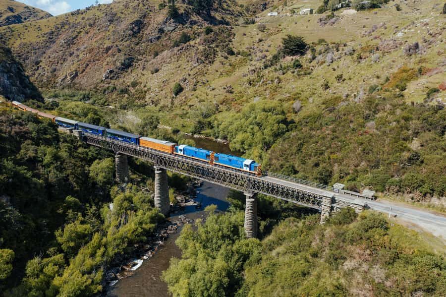 Dunedin: Scenic Railway Tour Through the Taieri Gorge - Key highlights you should care about